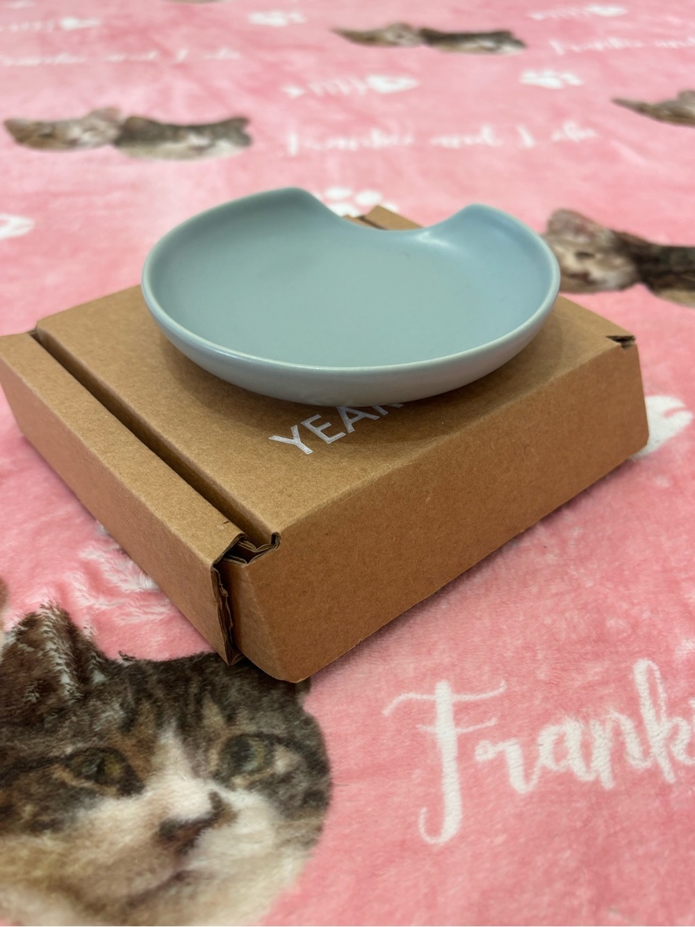 Minimal Spoon Resting Dish in Light Blue